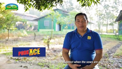 Alagang Magaling Season 11 Episode 2 - Porkchamp