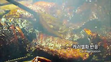 바카라타이배당／／ ＫＯＮ２０。ＣＯＭ ／／인터넷룰렛