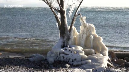 Ontario winter storm creates stunning lakeside ice sculptures
