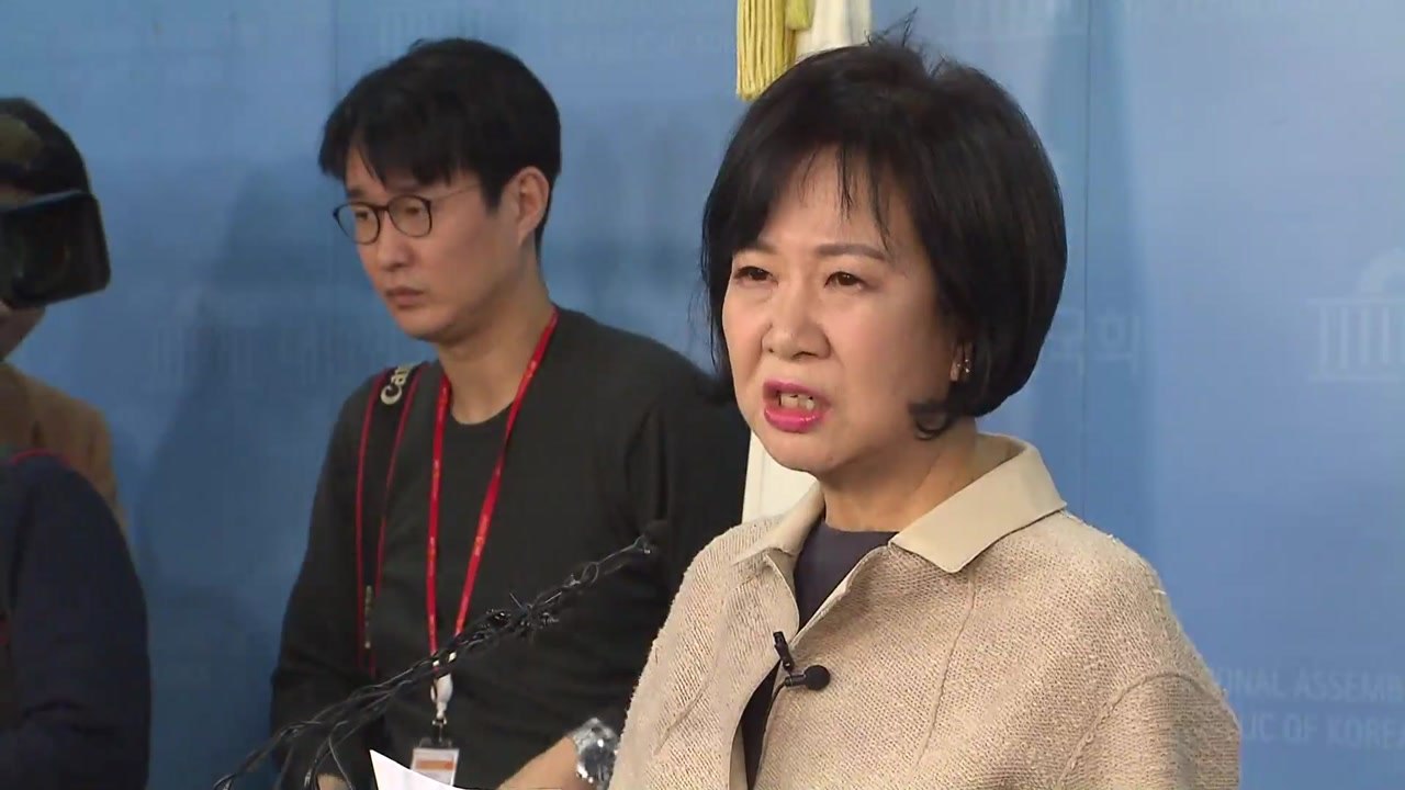 '투기 의혹' 손혜원 의원, 민주당 탈당..."SBS 고소" / YTN