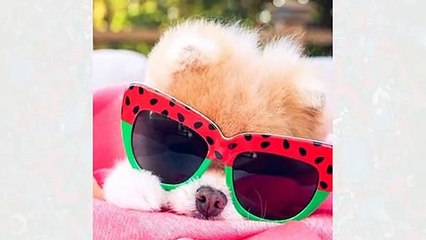 Ölümü 17 milyon takipçisini yasa boğdu!