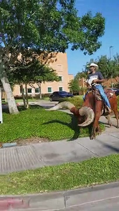 Riding a Huge Horned Steer