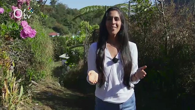 LocaTerre : Les compagnons batisseurs