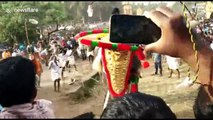 Agitated temple elephant in India temple runs amok amidst devotees during popular festival