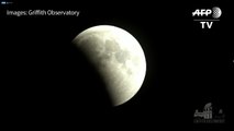 Better than twilight? Check out the 'Super blood wolf moon'