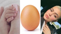 قصة البيضة 