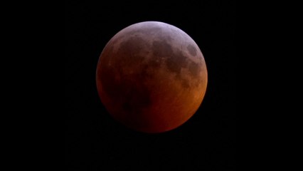 Vous l'avez raté ? Revivez le très beau spectacle de la "Super Lune de sang" de cette nuit
