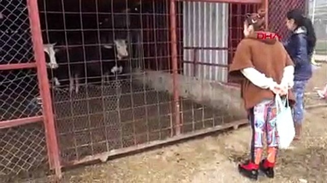 Ceylan Ertem'den Huzur Çiftliği'ne bağış