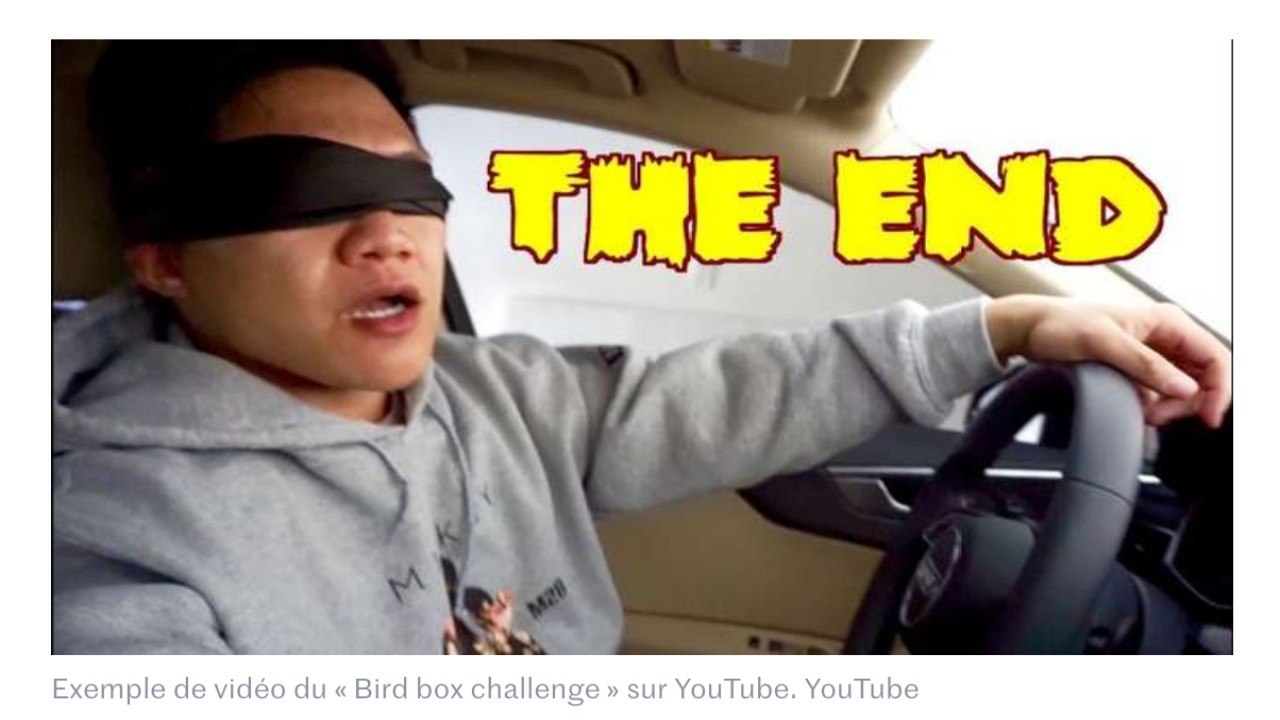 YouTube interdit le « Bird Box Challenge »