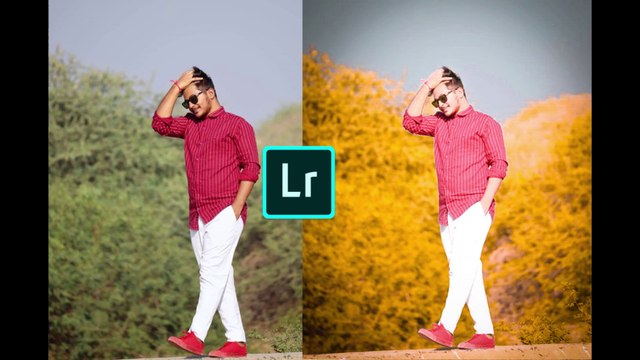 MOBILE & HINDI | Lightroom editing tutorial | step by step | Lightroom | Snapseed | Picsart | 2019 | lightroom tutorial mobile
