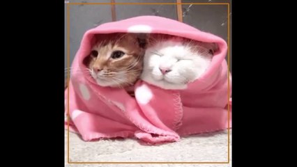 Vous avez froid ? Voici 5 astuces pour y remédier