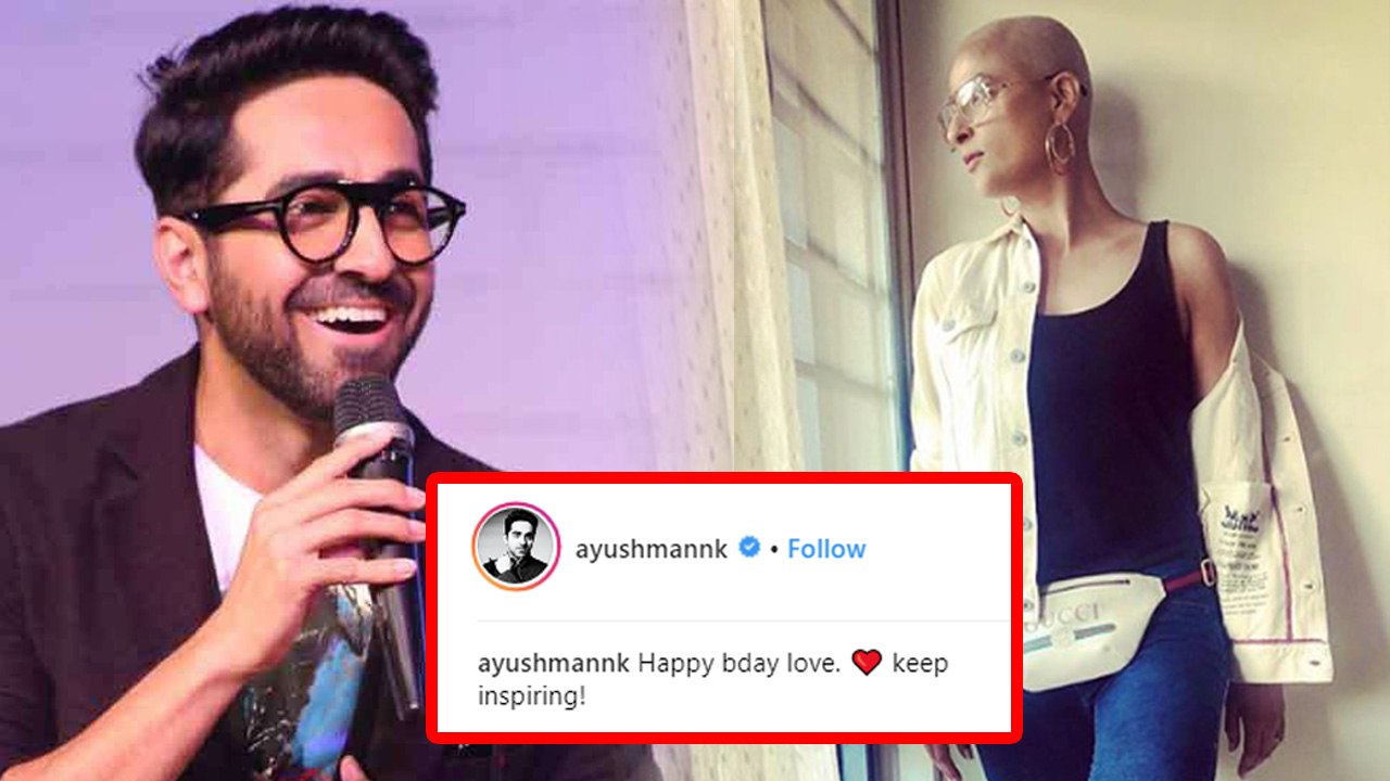 Ayushmann Khurana wishes Tahira Kashyap on her Birthday in special way | FilmiBeat