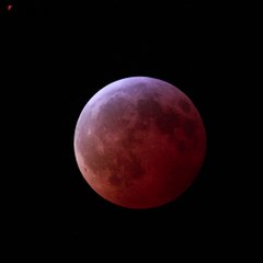 L'éclipse totale de la Lune, un spectacle rare