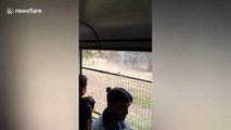 Zoo visitors watch horrifying moment Indian man is attacked by lions