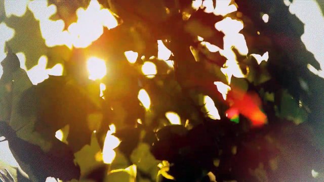 A vendre - Appartement - Veysonnaz (1993) - 3.5 pièces - 64m²