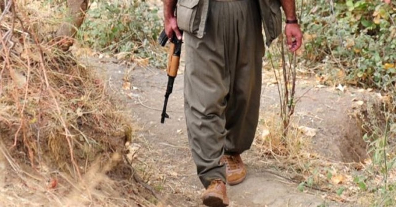 Dağa Hdp Yoluyla Gittim"