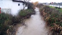 Şiddetli yağış nedeniyle evleri su bastı - MUĞLA