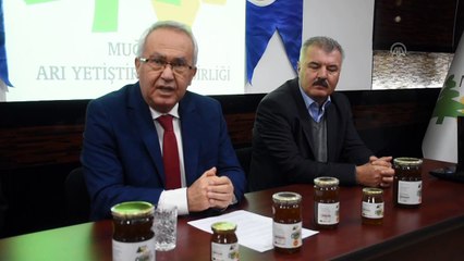 Muğla çam balında markalaşma çalışmaları