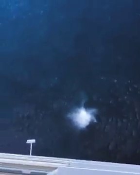 Ce dingue saute du 11e étage d'un paquebot aux Bahamas