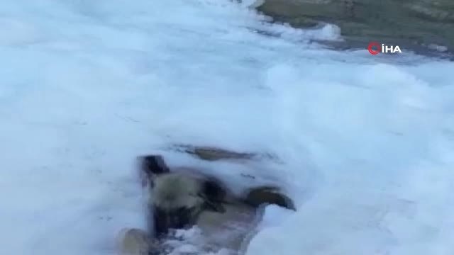 Üzerine Kar Yığını Düşen Donmak Üzereyken Kurtarıldı