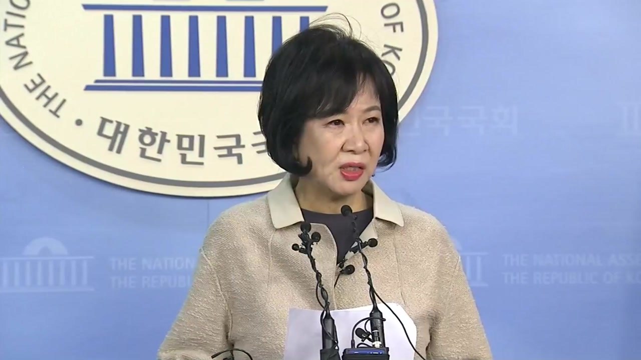 '투기 의혹' 손혜원 의원, 진실 공방 검찰로 / YTN