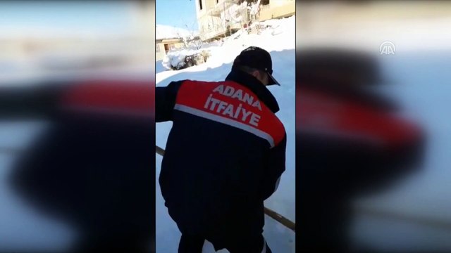 Üzerine kar kütlesi düşen köpek kurtarıldı - ADANA