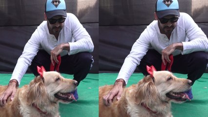 Dino Morea revealed about his upcoming project at India’s Biggest Pet Festival | FilmiBeat