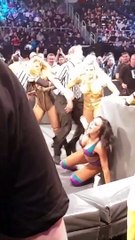 IIconics (Billie Kay and Peyton Royce) - Smackdown April 17th 2018