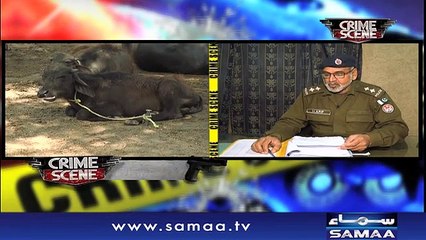 Crime Scene | Samaa TV | 21 January 2019
