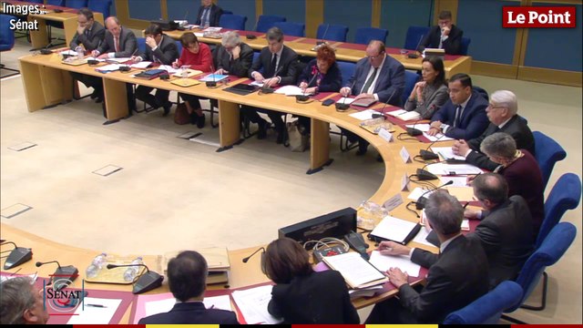 Alexandre Benalla devant les sénateurs : Je ne vous ai pas menti