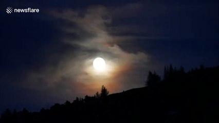 Spectacular time-lapse shows super blood wolf moon lighting up the sky in Scotland