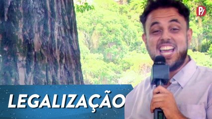 LEGALIZAÇÃO | PARAFERNALHA