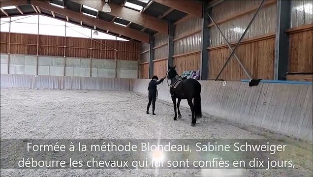 DNA - Une séance de débourrage éthologique par Sabine Schweiger à l'écurie du Loti à Merkwiller-Pechelbronn