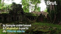 Au Cambodge, le temple Ta Prohm est le parfait mélange entre culture et nature