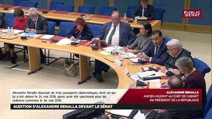 Alexandre Benalla : « Je n’ai pas, à l’occasion du déplacement avec Monsieur Philippe Hababou Solomon, perçu une rémunération spécifiquement pour ce voyage au Tchad. »