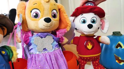 Paw Patro Baby Pup Halloween Toy Learning Video for Kids