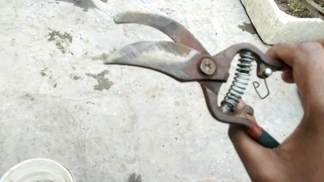How to remove rust from Garden Tools | Apnay gardening tools kaay zang ko asaani kay sath saaf krain, easy trick (urdu/hindi)|
