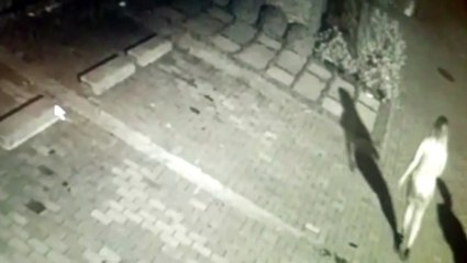 Câmera mostra pessoas retirando plantas no centro