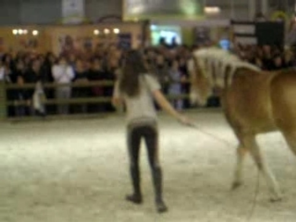 Pauline et Naïade Salon du Cheval 2007