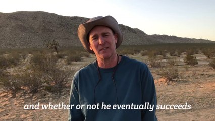 Skyman (2019) - The Paranormal Research Behind the Film