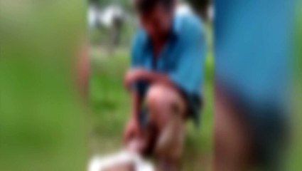 Diamante do Sul: Polícia apura se vídeo de homens exibindo cabeça de onça cortada