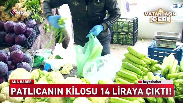 Patlıcan'ın kilosu 14 liraya çıktı