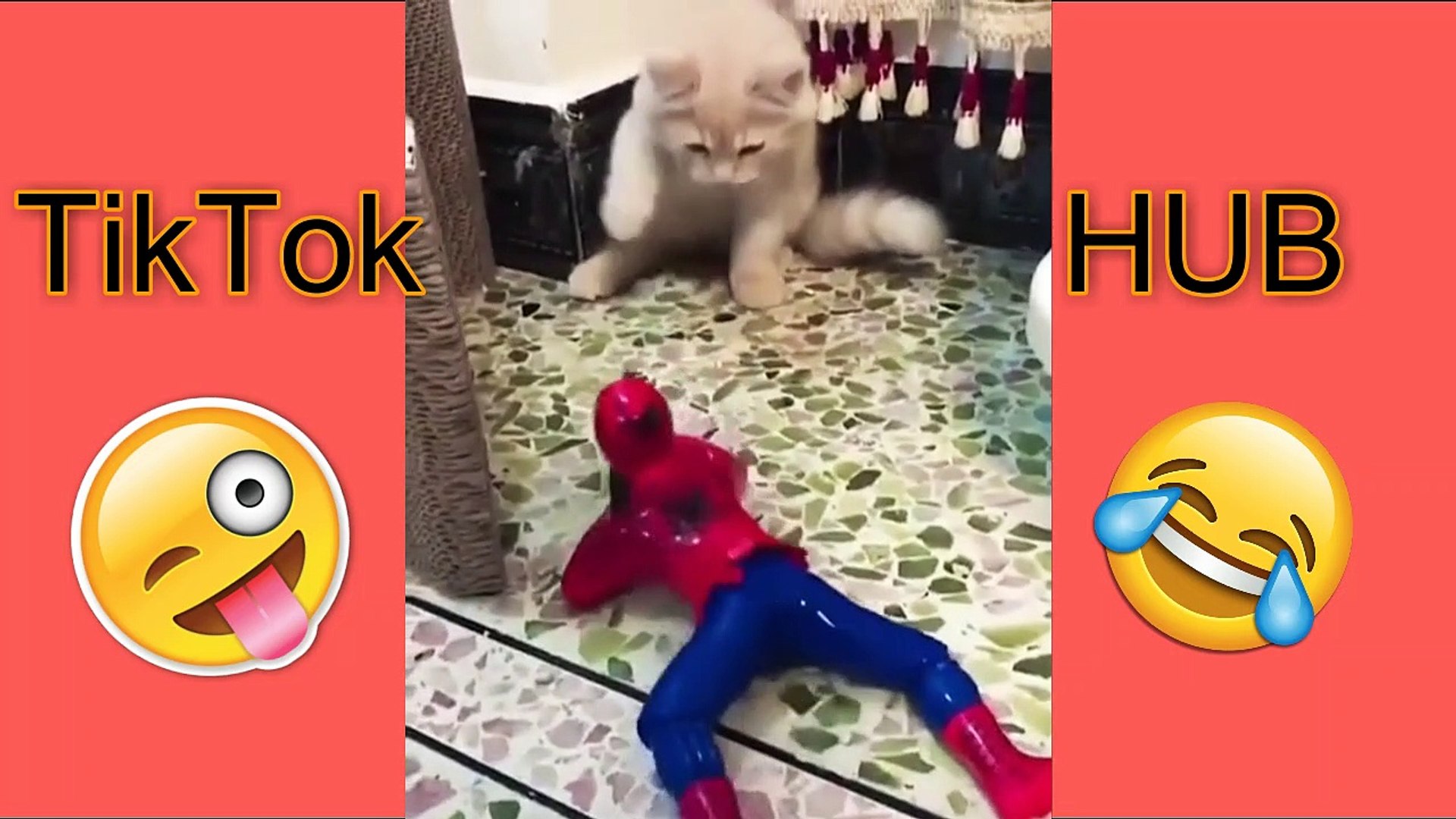 ⁣TikTok Funny Dogs And Cats  Compilation Video #TikTok HUB