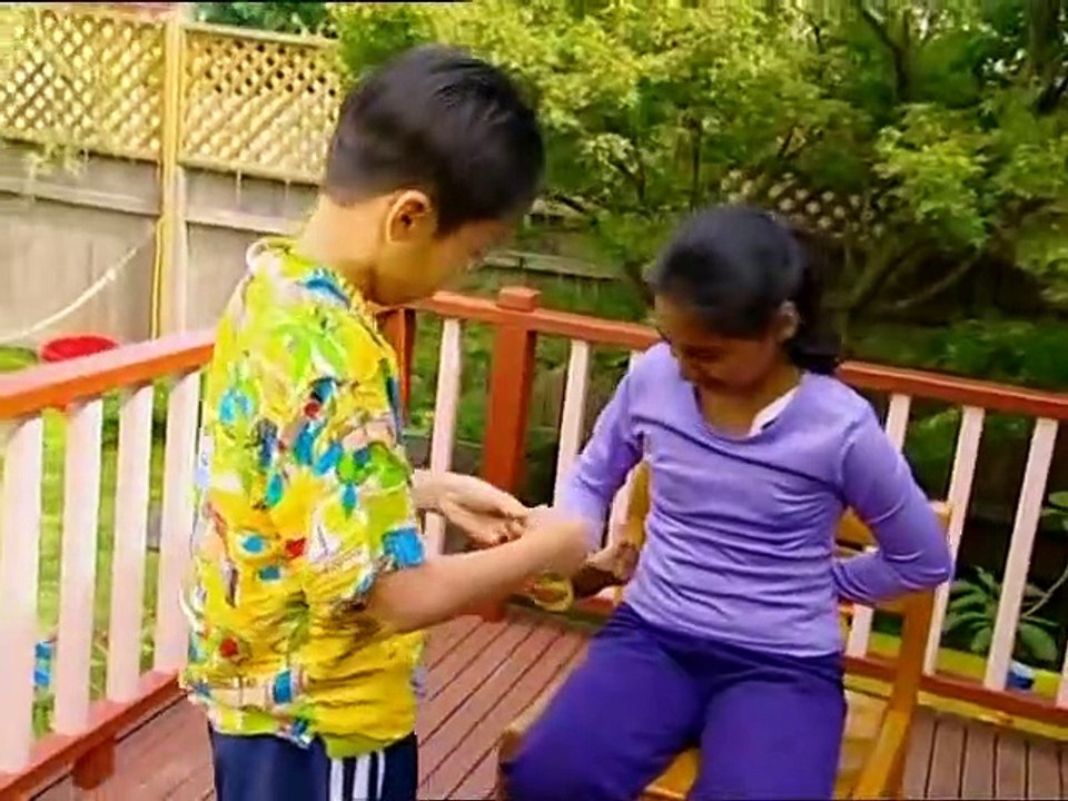 Backyard Science   S1E6   What makes a perfect face