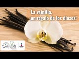 Propiedades y beneficios de la Vainilla | Cocina Delirante