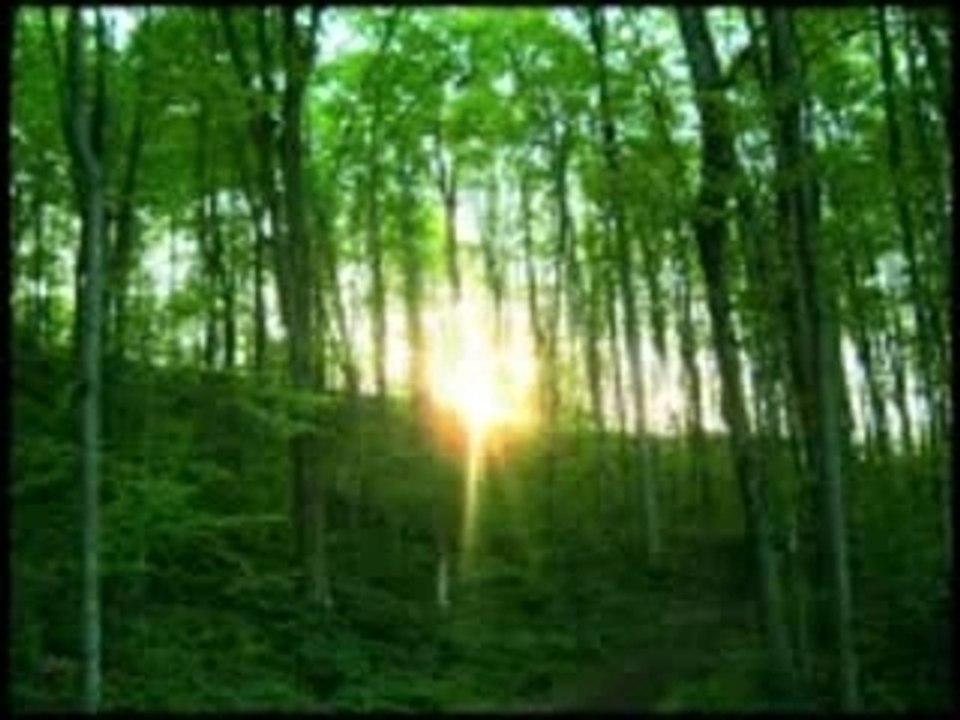 Les druides_2
