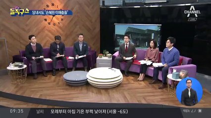 ‘빙상계 성폭력’ 기자회견에도 나온 손혜원