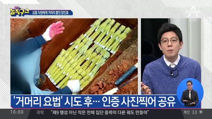 또 엽기행각…직원들 상대로 거머리 붙인 양진호