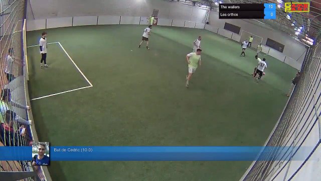 But de Cedric (10-0) - The wailers Vs Les orthos - 21/01/19 20:00 - Ligue A - Poitiers Game Parc