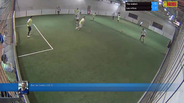 But de Cedric (15-7) - The wailers Vs Les orthos - 21/01/19 20:00 - Ligue A - Poitiers Game Parc